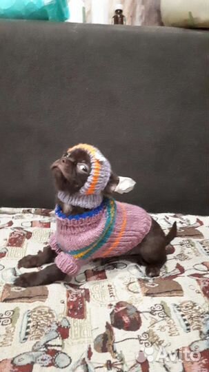 Вязаные кофты и шапки для собак