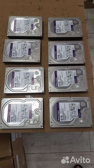 Жесткий диск Western Digital WD82purz