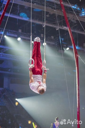 Тренировки по спортивной гимнастике