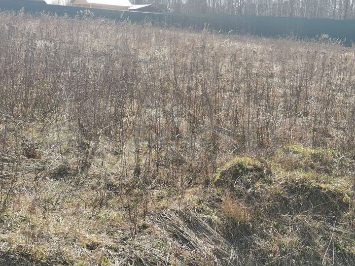 Участок 8 сот. (ИЖС)