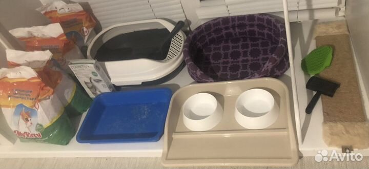 Всё для кошек