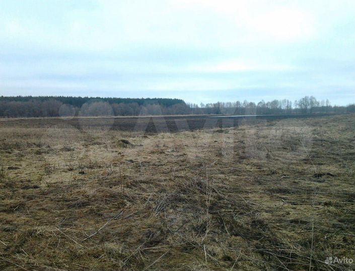 Участок 12,8 га (СНТ, ДНП)