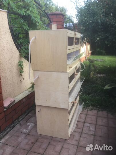 Клетка брудер для цыплят