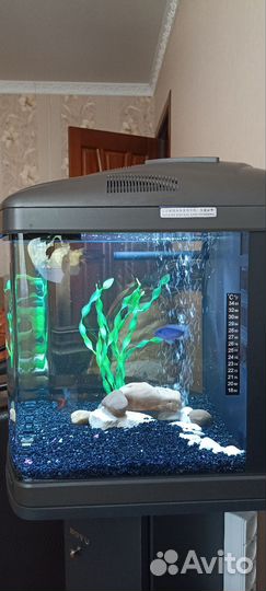 Аквариум с тумбой