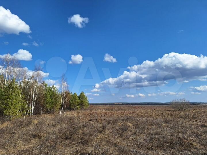 Участок 10 сот. (СНТ, ДНП)