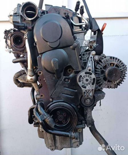 Двигатель BLS Volkswagen Passat B6 1.9 Дизель