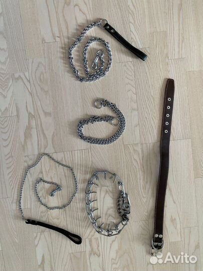 Амуниция для собак