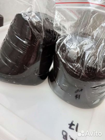 Мумие оптом