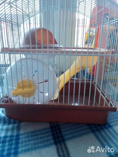 Клетка для сирийского хомяка