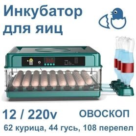 Решетки и лотки для инкубаторов