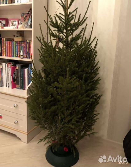 Елка новогодняя