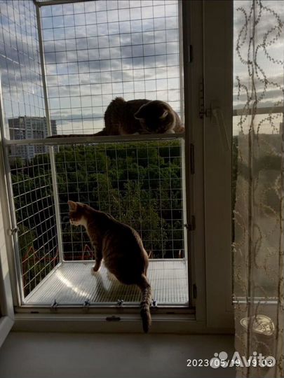 Балкончик для кошки