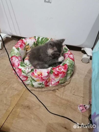 Лежанка для котёнка