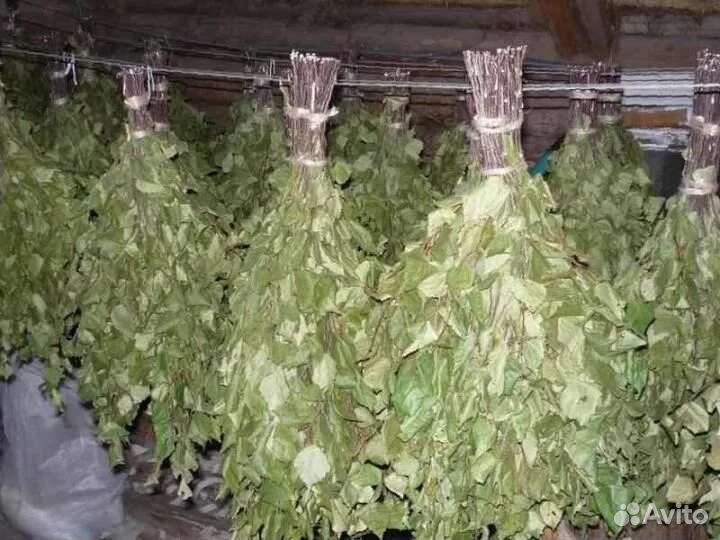 Березовые веники