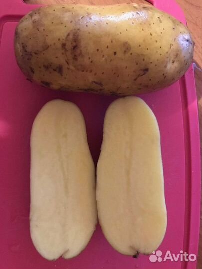 Картофель