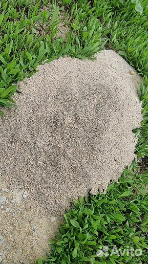 Рыбная мука