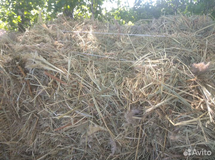 Продам сено в тюках