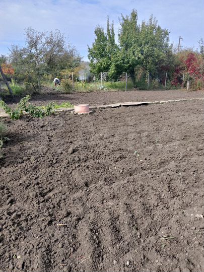 Дача 23 м² на участке 4 сот.