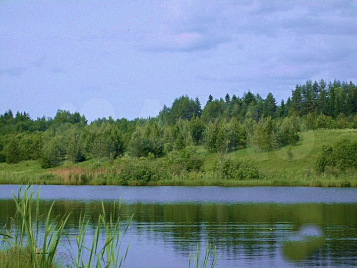 Участок 6,55 га (СНТ, ДНП)