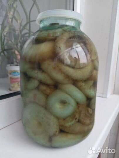 Грибы грузди соленые