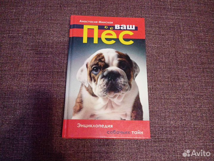 Минская А. Ваш пес