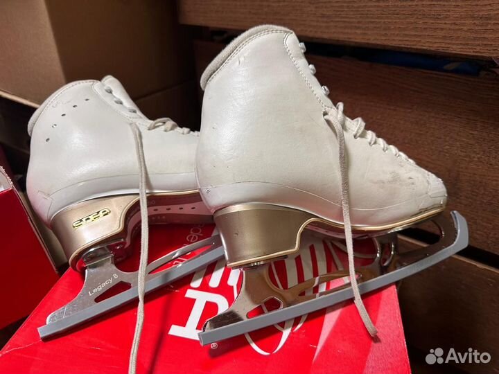 Фигурные коньки Edea Concerto 250 + legacy 8