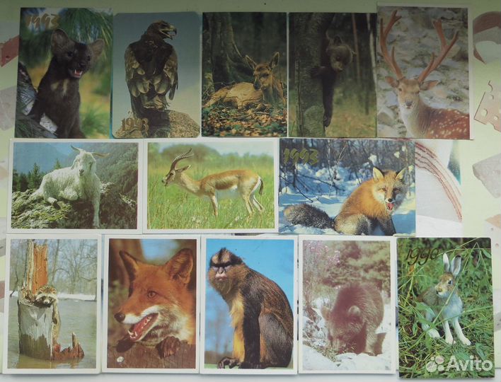Календарики Флора фауна 85-93 гг