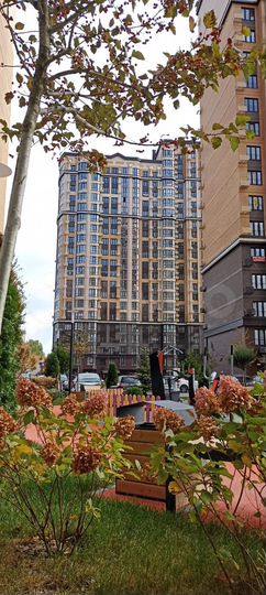 3-к. квартира, 69,5 м², 13/24 эт.