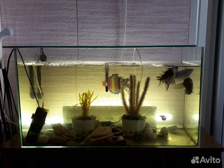 Аквариум