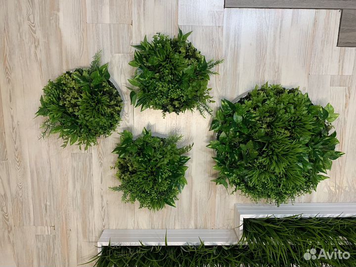 Подвесные сады вертикальное озеленение