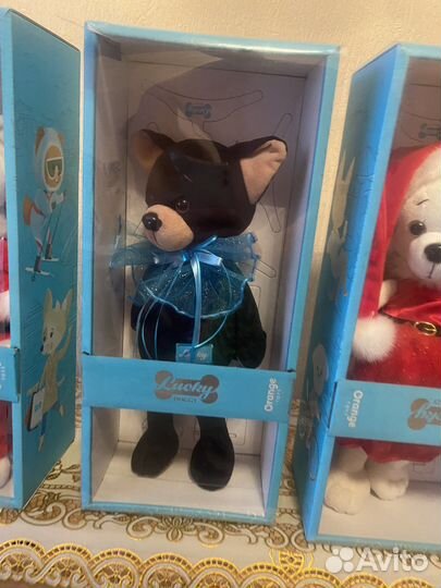 Собаки lucky doggy