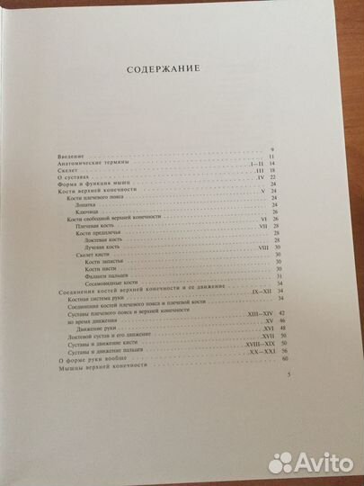 Анатомия для художников. Ене Барчаи