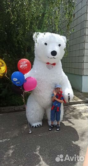 Поздравление мишек на праздник