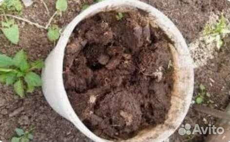 Земля плодородная Торф Навоз Чернозем
