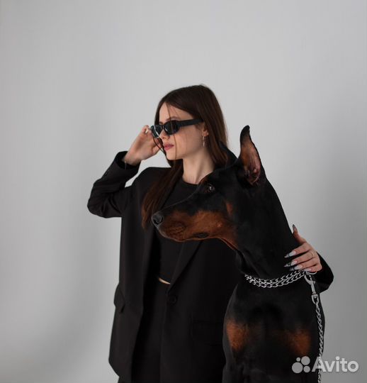 Фотосессия с доберманом