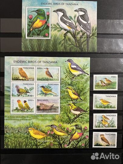 2006 г. Танзания. Фауна