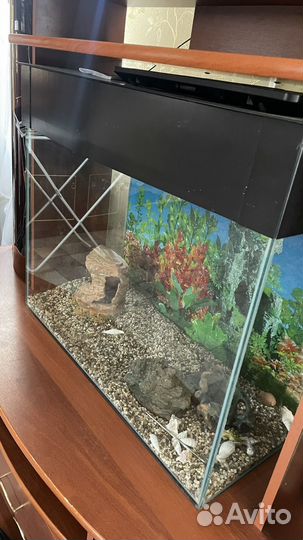 Аквариум