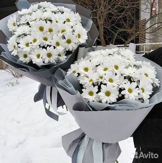 Доставка букетов и цветов. Хризантема