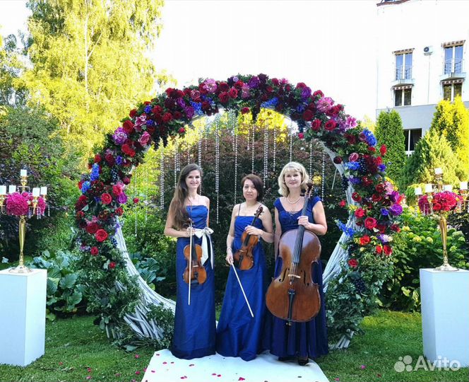 Скрипка на свадьбу, квартет, трио, дуэт, саксофон