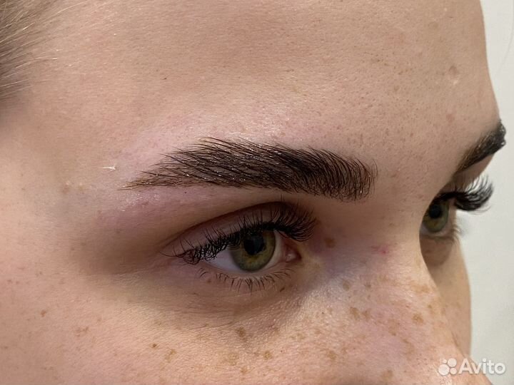 Лешмейкер бровист