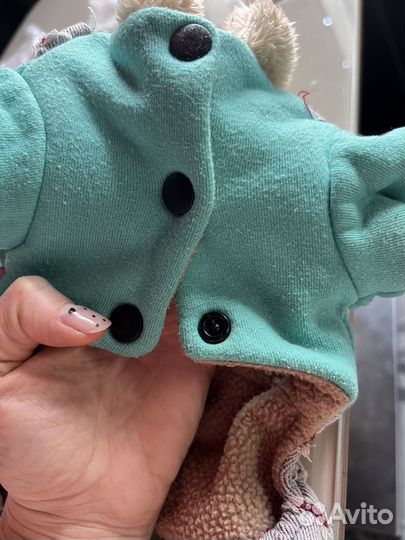 Одежда для мини йорка