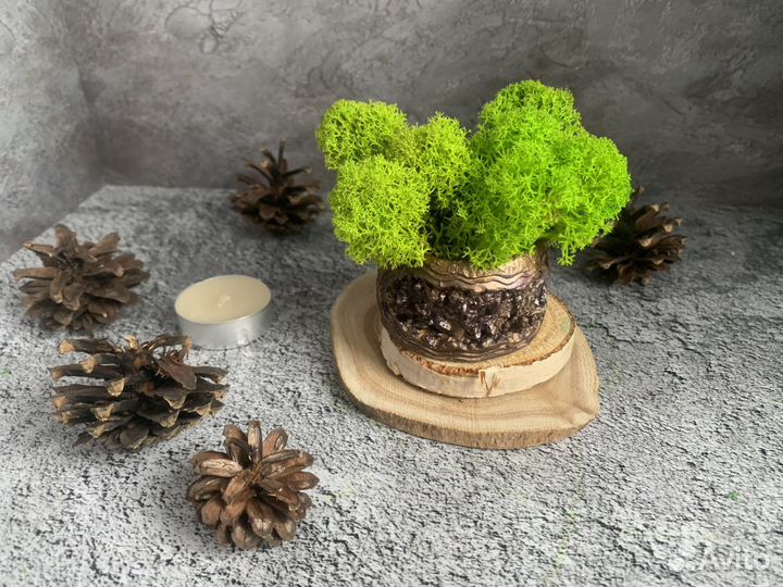 Кашпо со стабилизированным (живым) мхом