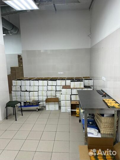 Инвестиции в бизнес. Пассивный доход до 70% в год