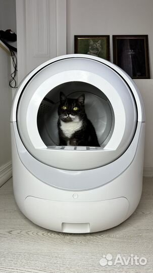 Автоматический лоток для кошек