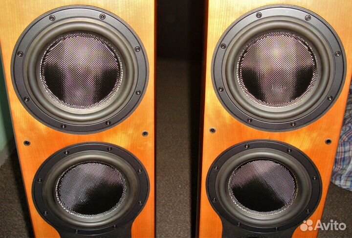 Bowers Wilkins 804. Акустика + шипы