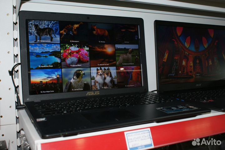 Asus X552E AMD Dual Core E1-2100 3Гб 500Гб HD8210