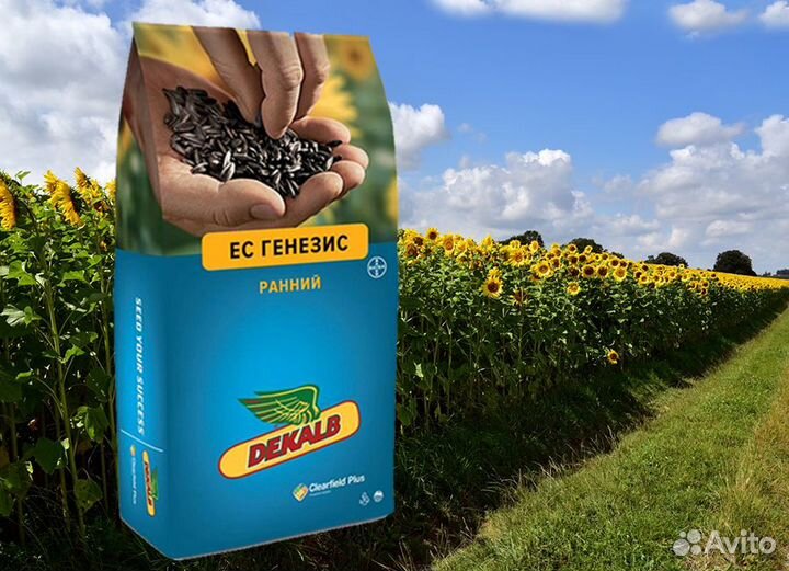 Гибриды семена подсолнечника Байер