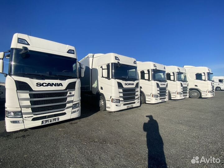 Scania R500, 2023