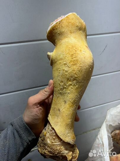 Копыта говяжьи