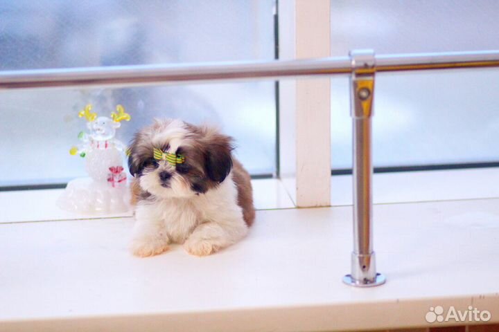 Красивая,живая игрушка